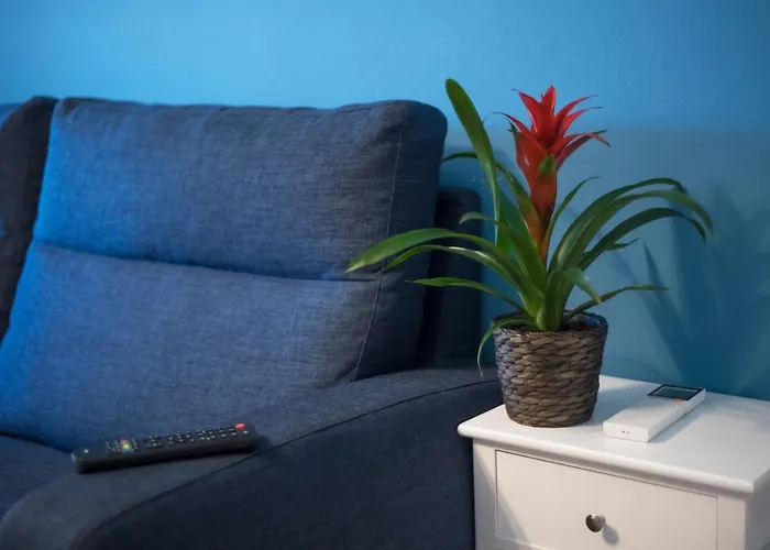 דירה Fly House Bologna...un Al Volo בולוניה